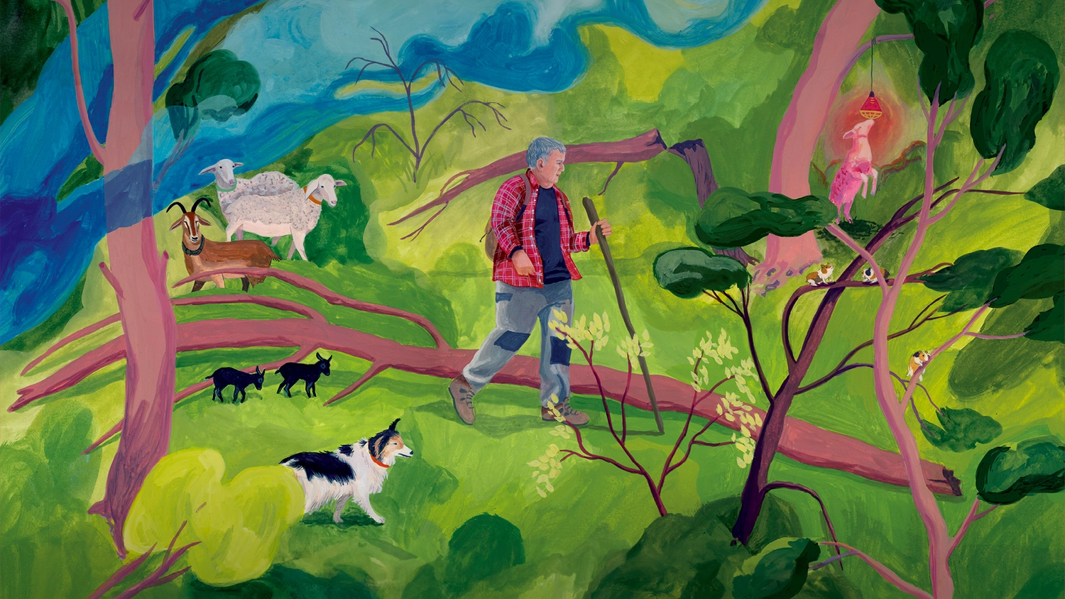 Il·lustració Fauna